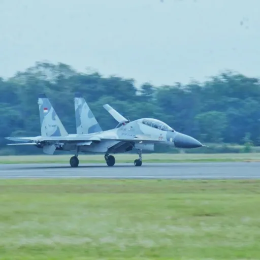 3 Pesawat Sukhoi SU 27/30 Skadron 11, Latihan Sikatan Daya 2024