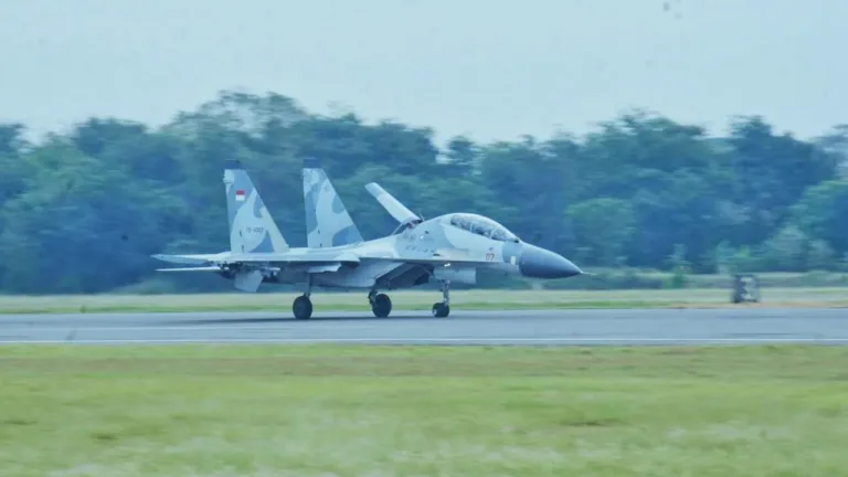 3 Pesawat Sukhoi SU 27/30 Skadron 11, Latihan Sikatan Daya 2024