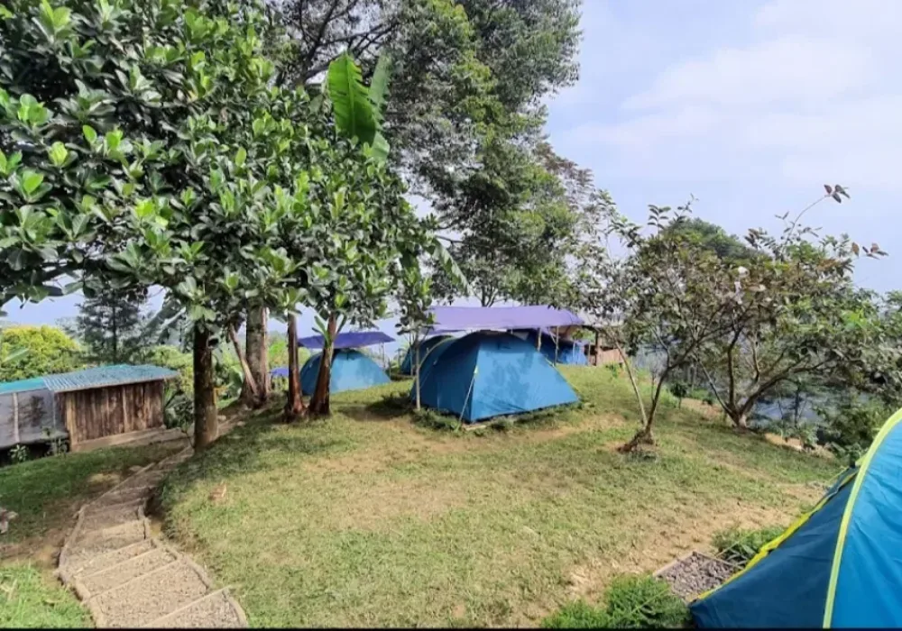 Rekomendasi Tempat Healing di Bogor, Hanjuang Hills Camp 
