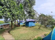 Rekomendasi Tempat Healing di Bogor, Hanjuang Hills Camp 