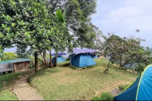 Rekomendasi Tempat