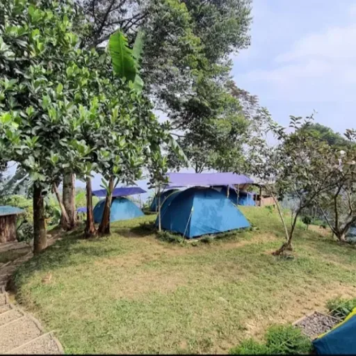 Rekomendasi Tempat Healing di Bogor, Hanjuang Hills Camp 