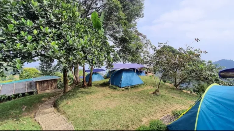 Rekomendasi Tempat Healing di Bogor, Hanjuang Hills Camp 