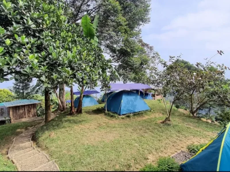 Rekomendasi Tempat Healing di Bogor, Hanjuang Hills Camp 
