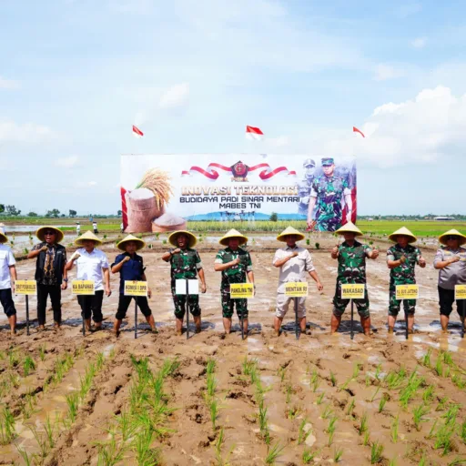 Panglima TNI Dorong Swasembada Pangan Nasional Melalui Bibit Padi Unggul Sinar Mentari