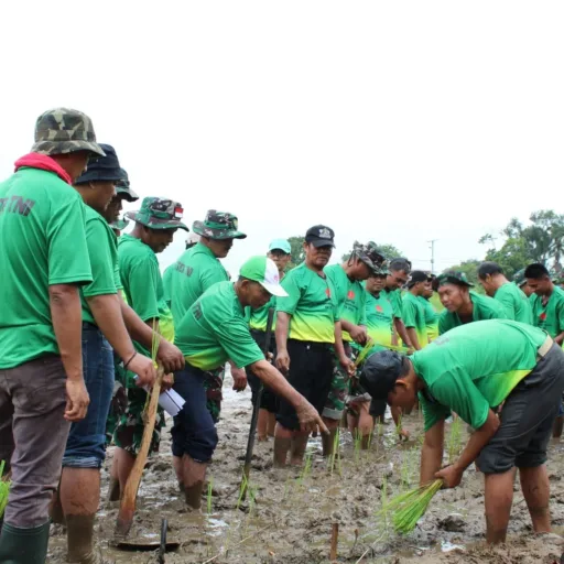 Bimtek Ketahanan Pangan TA 2025, TNI Dorong Swasembada Pangan Nasional