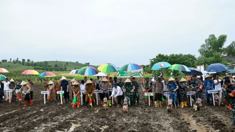 Pangkoopsud II Laksanakan Penanaman Jagung 1 Juta Hektar Serentak  Dukung Swasembada Pangan 2025