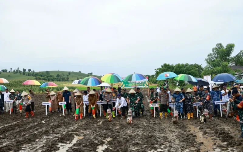 Pangkoopsud II Laksanakan Penanaman Jagung 1 Juta Hektar Serentak  Dukung Swasembada Pangan 2025