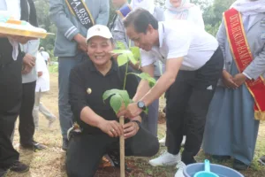 lingkungan hidup