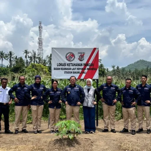 Kepala Zona Bakamla Tengah Pimpin Panen Jagung di Bali