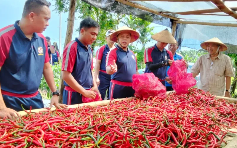 Kepala Zona Bakamla Tengah Pimpin Panen