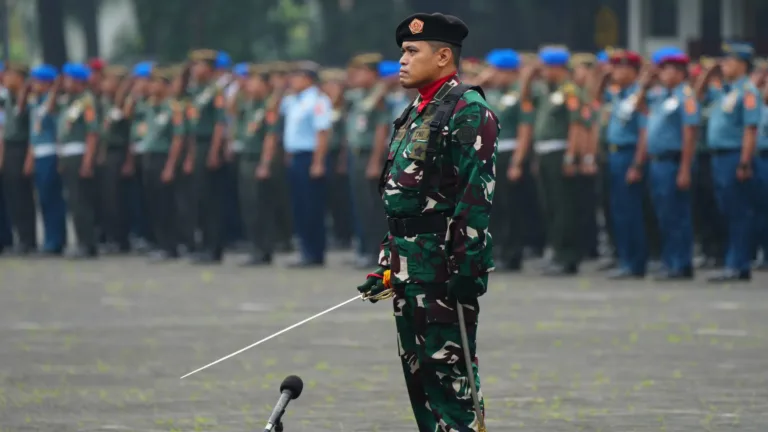 Revisi UU TNI Berdasarkan Prinsip Demokrasi dan Supremasi Sipil
