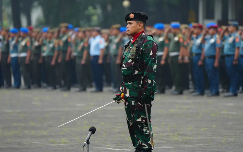 Revisi UU TNI Berdasarkan Prinsip Demokrasi dan Supremasi Sipil