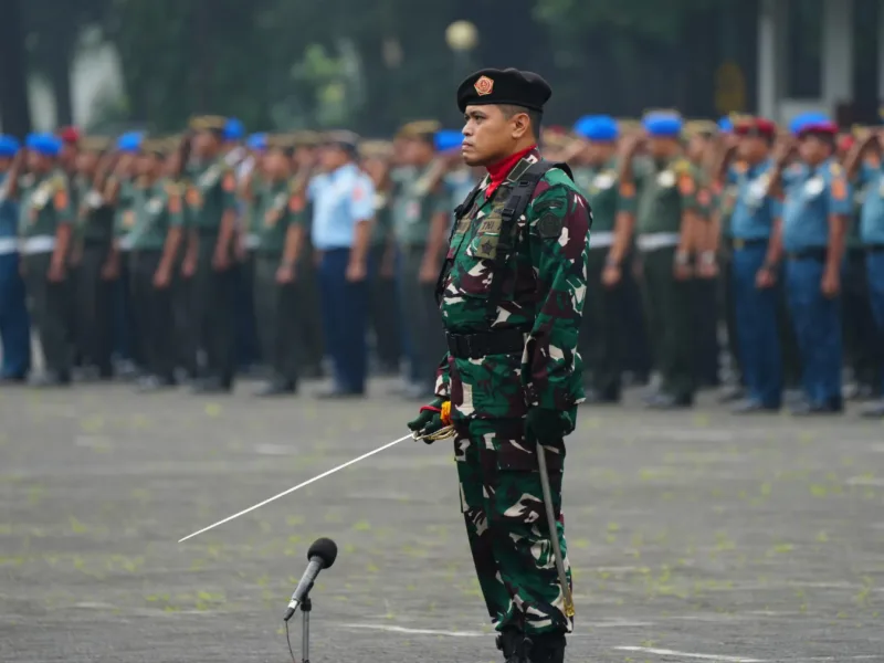 Revisi UU TNI Berdasarkan Prinsip Demokrasi dan Supremasi Sipil
