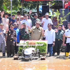 Penanaman Padi Serentak Yang Dipimpin Presiden RI