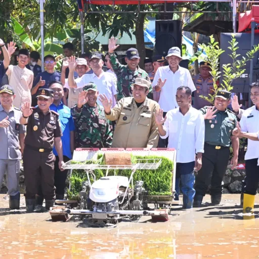 Penanaman Padi Serentak Yang Dipimpin Presiden RI