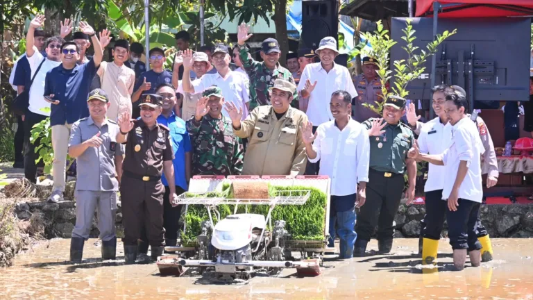Penanaman Padi Serentak Yang Dipimpin Presiden RI