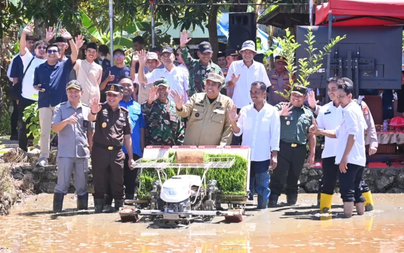 Penanaman Padi Serentak Yang Dipimpin Presiden RI