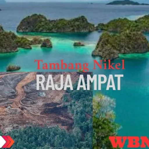 13 Perusahaan Tambang Dapat Hak Istimewa di Raja Ampat oleh Pemerintah
