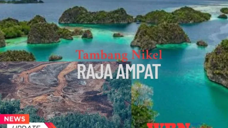 13 Perusahaan Tambang Dapat Hak Istimewa di Raja Ampat oleh Pemerintah