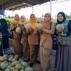 Setda Kabupaten Garut Kunjungi Kelompok Tani Jaya di Sukajaya Malangbong Rayakan Panen Raya Semangka dan Melon