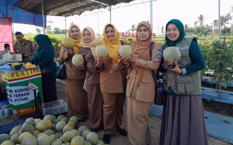 Setda Kabupaten Garut Kunjungi Kelompok Tani Jaya di Sukajaya Malangbong Rayakan Panen Raya Semangka dan Melon