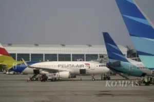 Pertamina Rencanakan Peleburan Pelita Air ke Garuda, PAN Tolak Usulan Merger