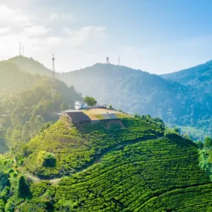 Polres Bogor Terapkan Ganjil Genap di Jalur Puncak Sampai 28 September