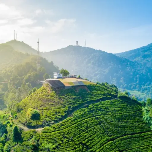 Polres Bogor Terapkan Ganjil Genap di Jalur Puncak Sampai 28 September