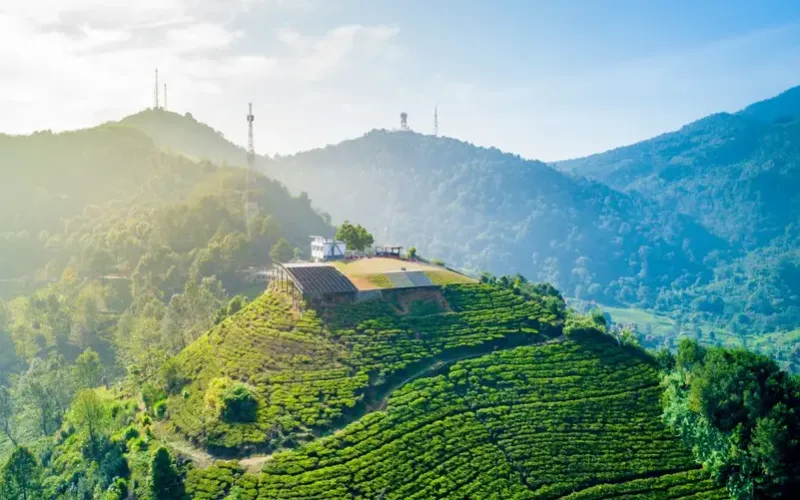 Polres Bogor Terapkan Ganjil Genap di Jalur Puncak Sampai 28 September
