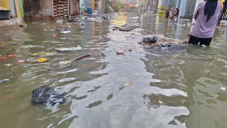 Banjir Rendam Sejumlah Kota di DKI, Semarang, dan Jawa Barat