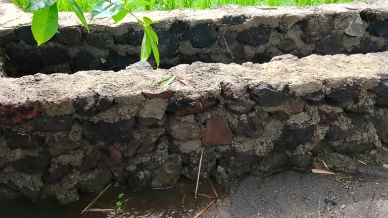 Desa Mekarluyu Kecamatan Sukawening Garut, Terima Bantuan P3-TGI, Petani Semakin Sejahtera