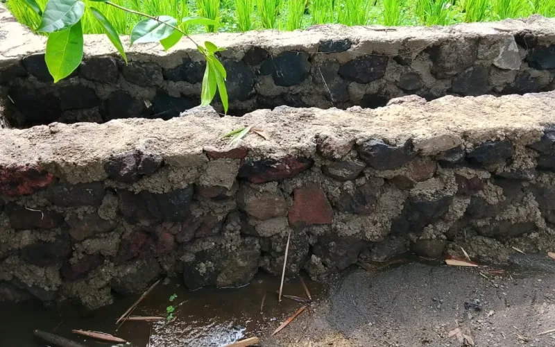 Desa Mekarluyu Kecamatan Sukawening Garut, Terima Bantuan P3-TGI, Petani Semakin Sejahtera