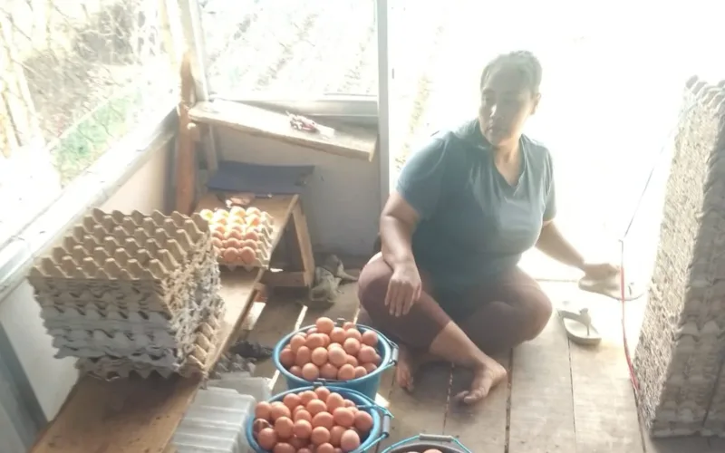 Bumdes Sauyunan Desa Sindangratu wanaraja Realisasikan  DD Dengan Usaha Ayam Petelur Dan Beras