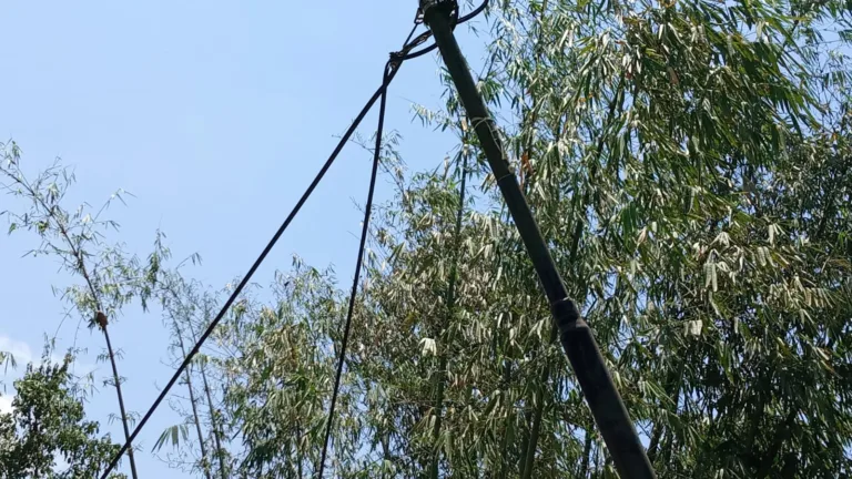 Kabel Internet Di Desa Cigadog Sembrawut, Warga Minta Agar Segera Di Benahi