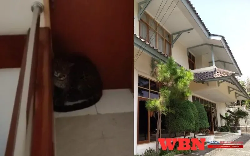 Macan Tutul Masuk Hotel Anugerah, Dugaan Dari Lembang Park Zoo