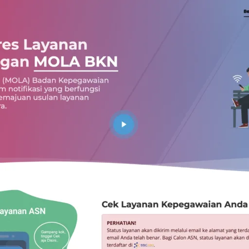 Cara Cek NIP PPPK Paruh Waktu 2025 di Mola BKN