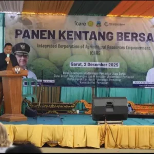 BRMP KEMENTAN RI Gelar Panen Kentang Bersama Program ICARE di Cisurupan, Perkuat Sinergi Pusat-Daerah