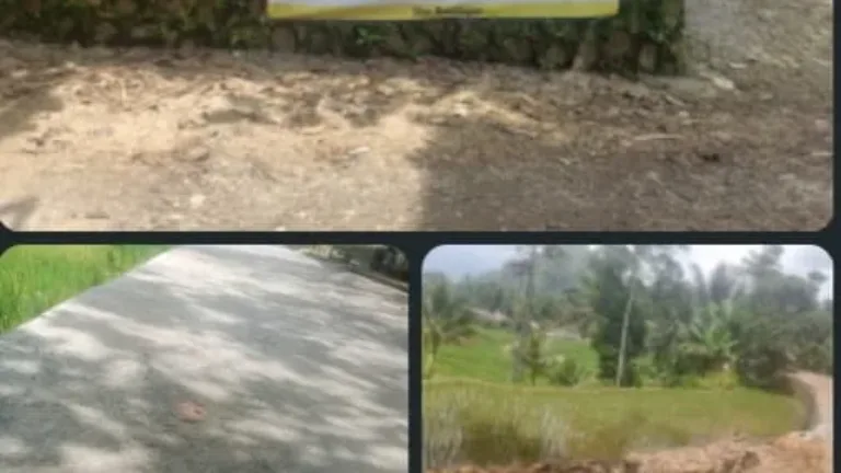 Soroti DD Proyek Rabat Beton Di Sukamulya Diduga Bermasalah
