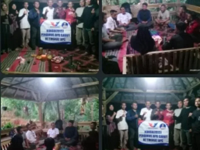 Konsolidasi Kunjungan DPD Dan Pengukuhan DPC Partai Perindo Kecamatan Pakenjeng