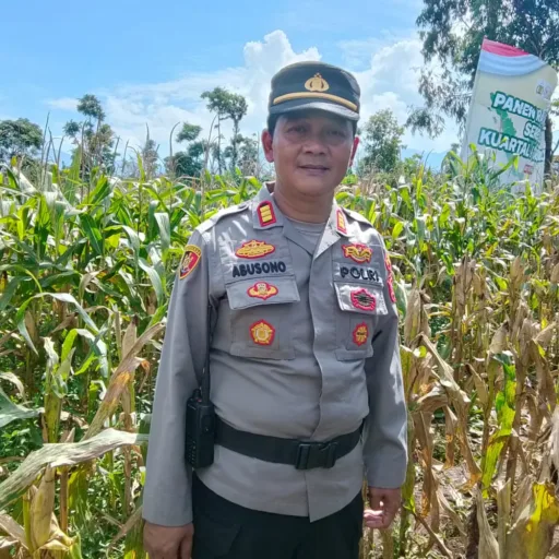 Awal Tahun 2026, Petani Di Desa Sindangratu Panen Jagung Perdana