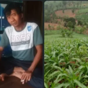 Kelompok Tani Jagung Cipari Jaya Simpen Kaler Berharap Perbaiki Jalan Demi Kelancaran Panen Raya
