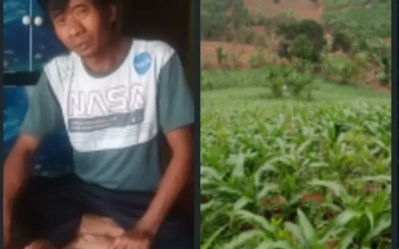 Kelompok Tani Jagung Cipari Jaya Simpen Kaler Berharap Perbaiki Jalan Demi Kelancaran Panen Raya