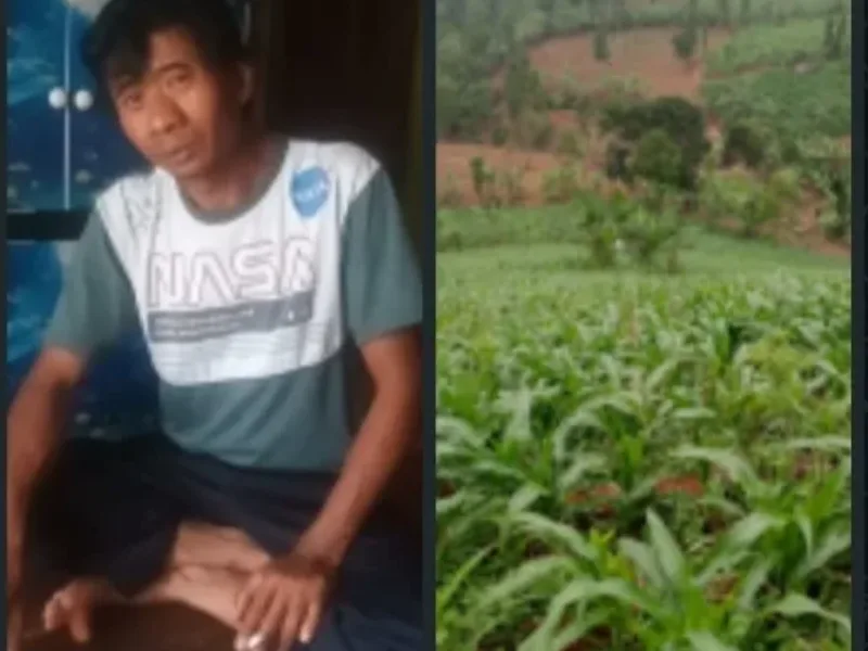 Kelompok Tani Jagung Cipari Jaya Simpen Kaler Berharap Perbaiki Jalan Demi Kelancaran Panen Raya
