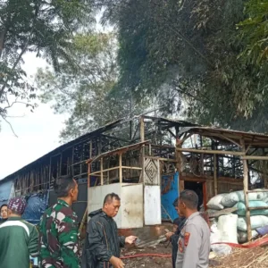 Diduga Korsleting Listrik , Kandang Ayam Di Samarang Terbakar, Polisi Lakukan Cek TKP