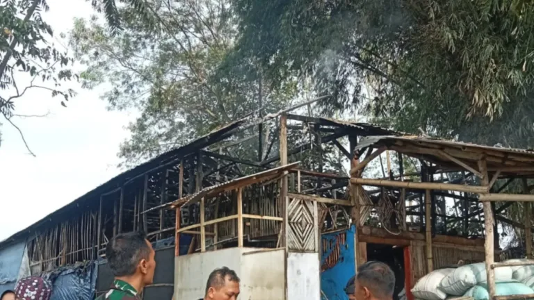 Diduga Korsleting Listrik , Kandang Ayam Di Samarang Terbakar, Polisi Lakukan Cek TKP