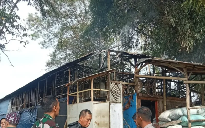 Diduga Korsleting Listrik , Kandang Ayam Di Samarang Terbakar, Polisi Lakukan Cek TKP