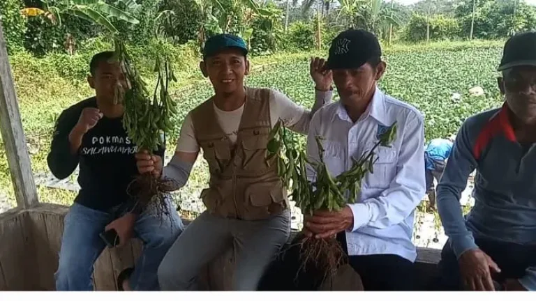 Bumdes Pakuan Jaya Karang Mukti Salawu Berhasil Kembangkan Program Ketahanan Pangan