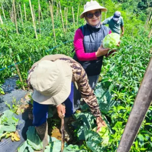 Karya nyata Seorang Srikandi Untuk Warga Kutawaringin Lewat Bumdes