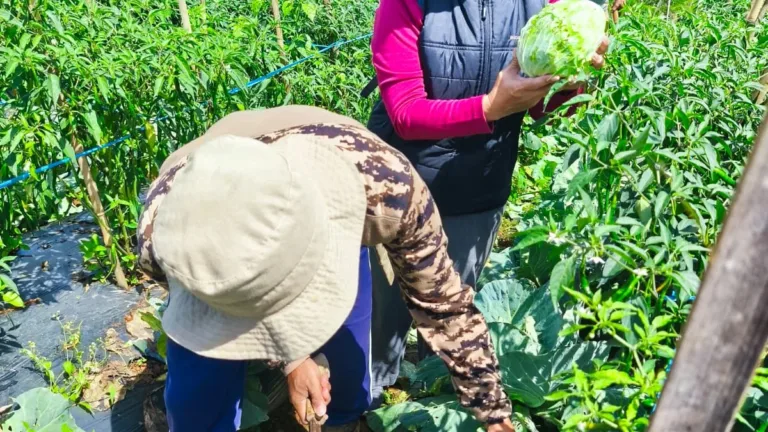 Karya nyata Seorang Srikandi Untuk Warga Kutawaringin Lewat Bumdes